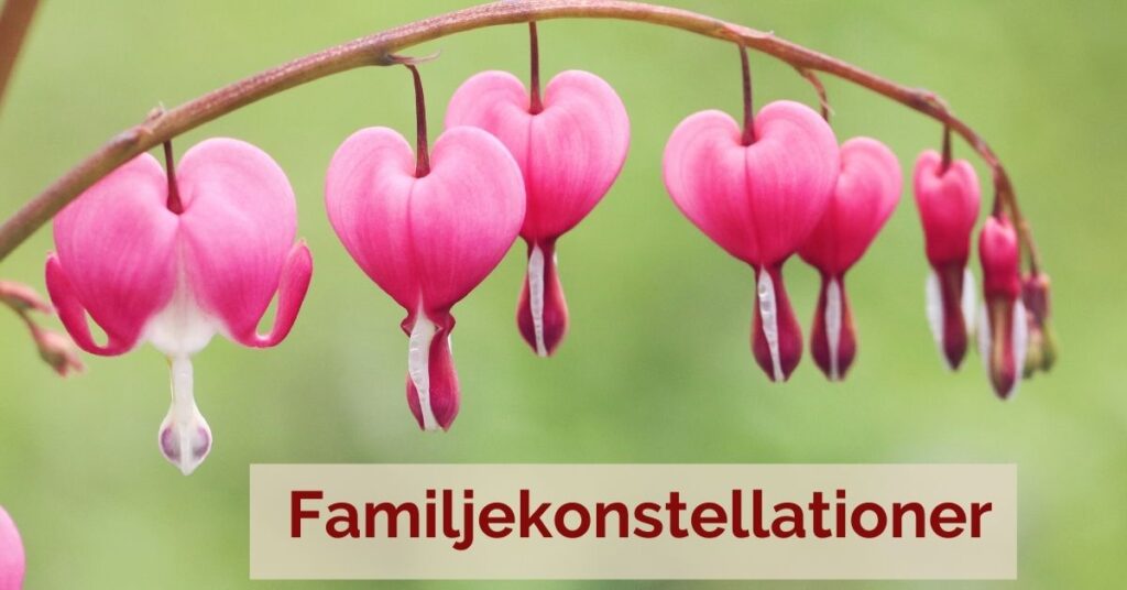 familjekonstellationer Candra Karlholm