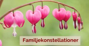 familjekonstellationer Candra Karlholm